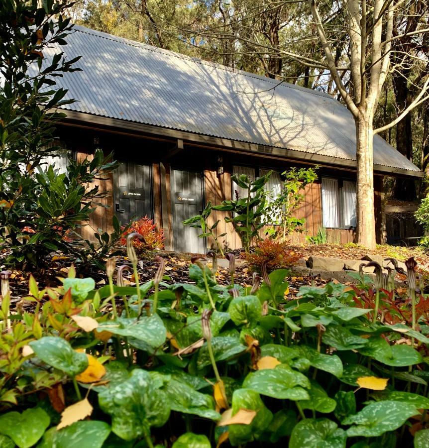 Emerald Star Cottages Eksteriør billede